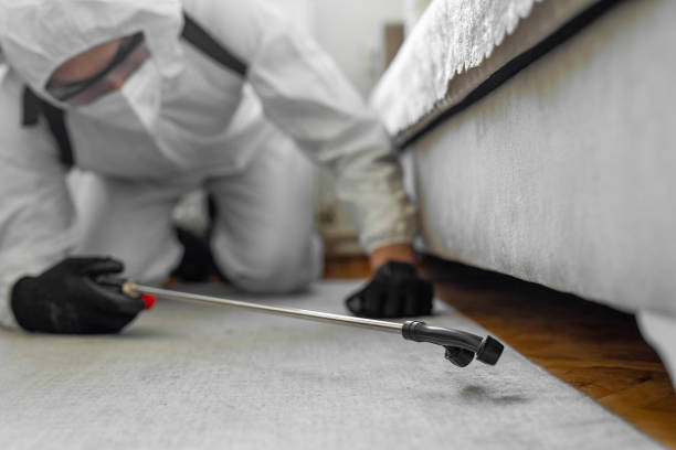 Professional Emergency Pest Control technician working in Peaceful Valley, WA