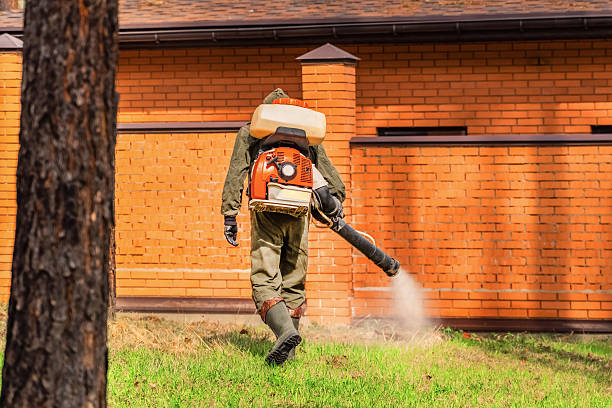 Trusted Termite Control service in Peaceful Valley, WA - Nex Pest Control